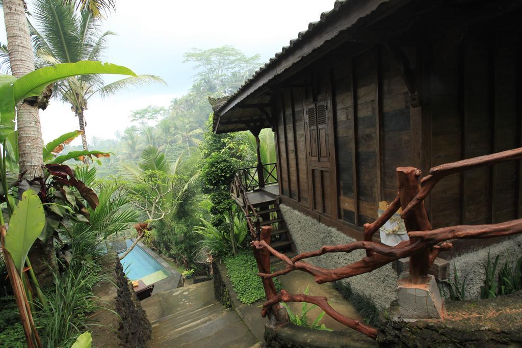 Ubud Jungle Holy Water Bagian luar foto